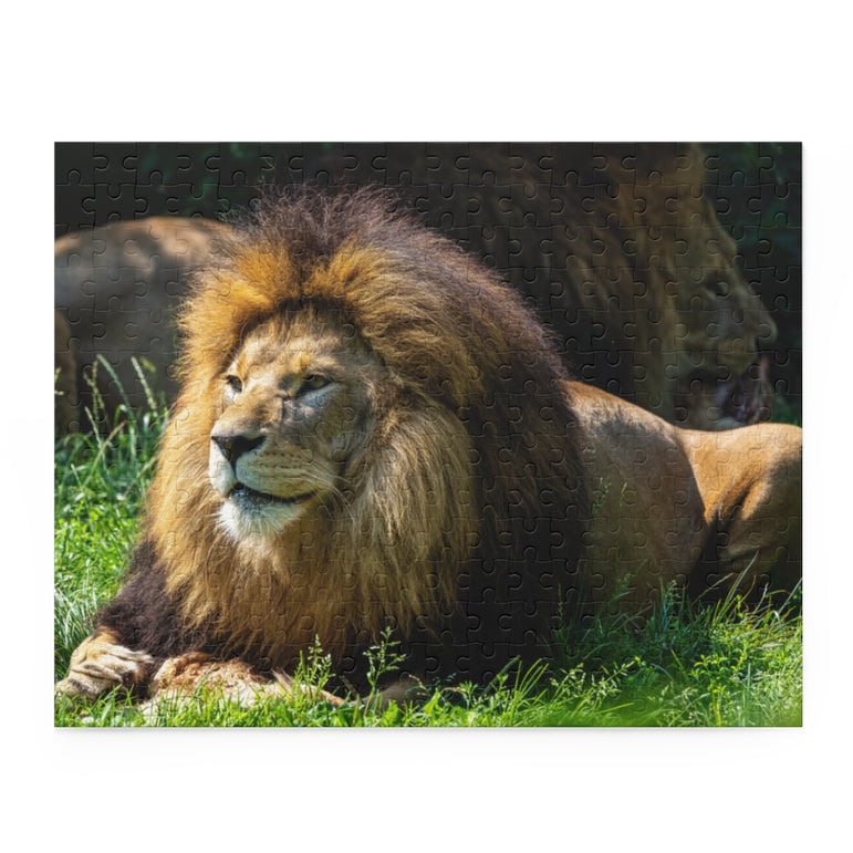 Panthera leo - The lion - Jigsaw Puzzle