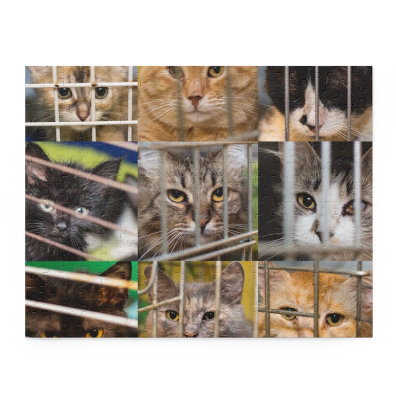 Sad Cats Collage - Jigsaw Puzzle
