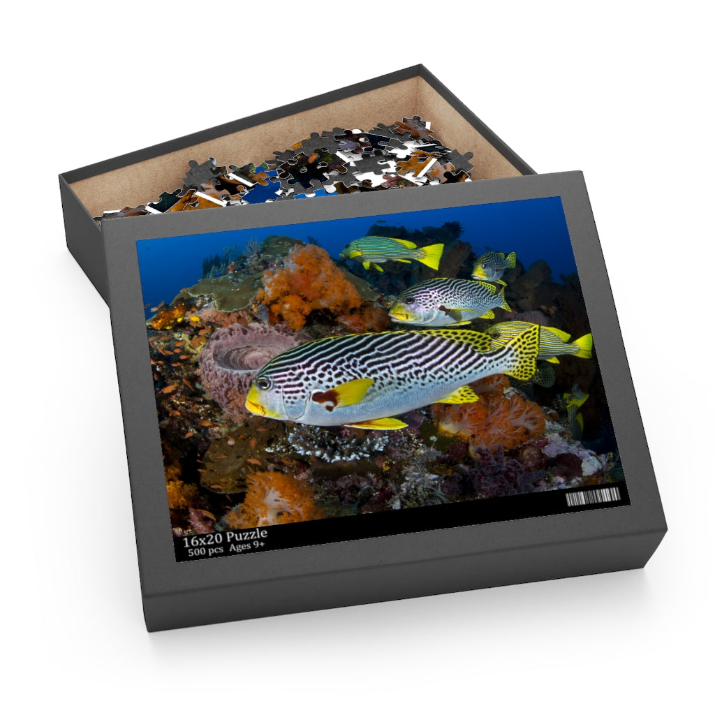 Sweet-lips snappers - indonesia - jigsaw puzzle