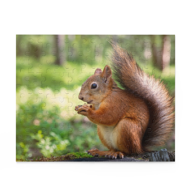 Squirrel eating a nut - Jigsaw Puzzle