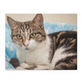 Mischievous, Intelligent Cat - Jigsaw Puzzle