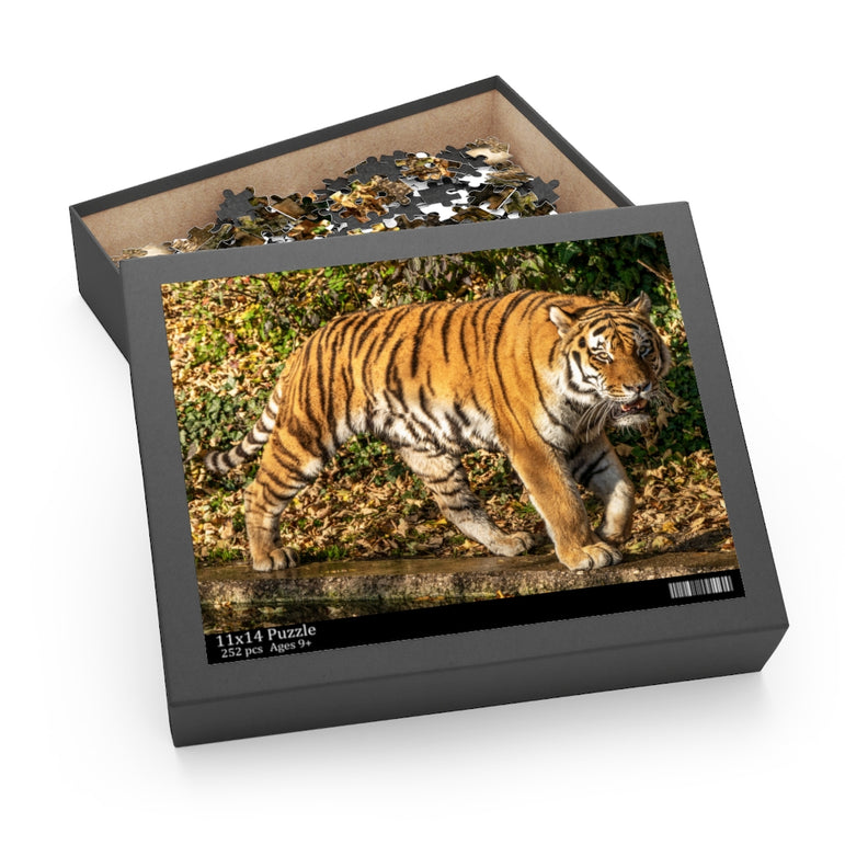 The Siberian tiger -Panthera tigris altaica - Jigsaw Puzzle