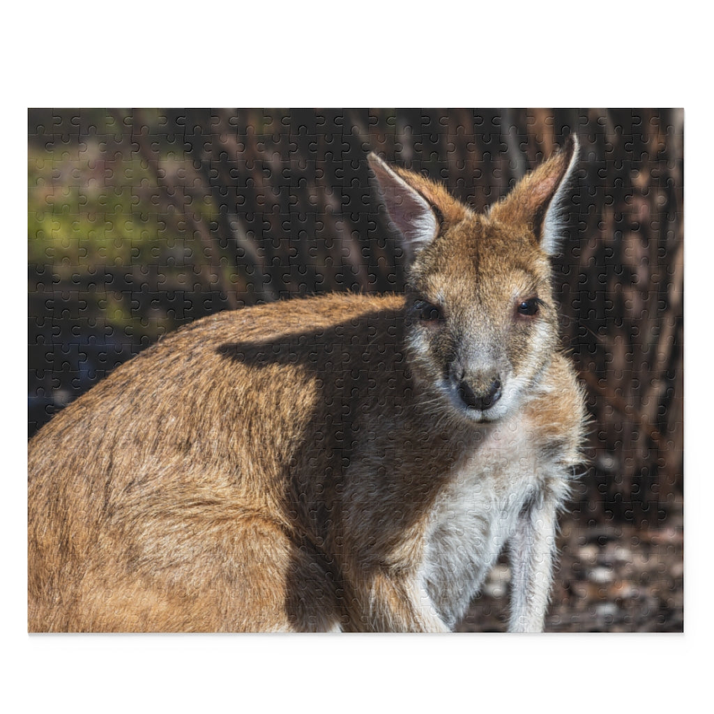 The Agile wallaby - Australia and New Guinea - Jigsaw Puzzle