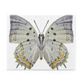 Jewelled Nawab - beautiful butterfly - Jigsaw Puzzle