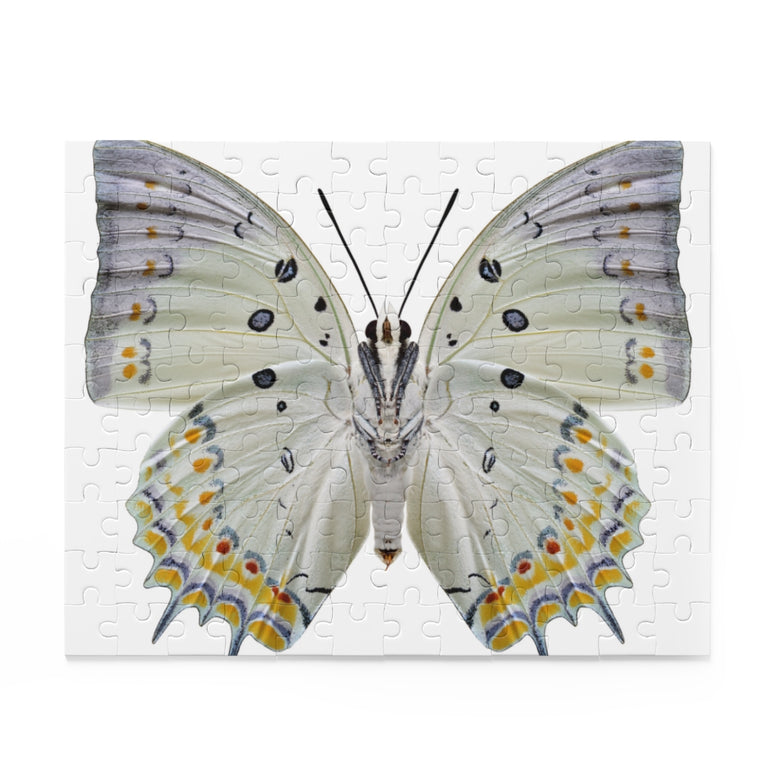 Jewelled Nawab - beautiful butterfly - Jigsaw Puzzle