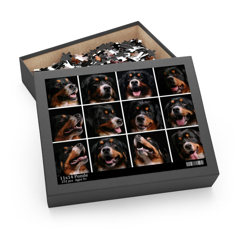 Collage - Bernese Mountain Dog - Jigsaw Puzzle