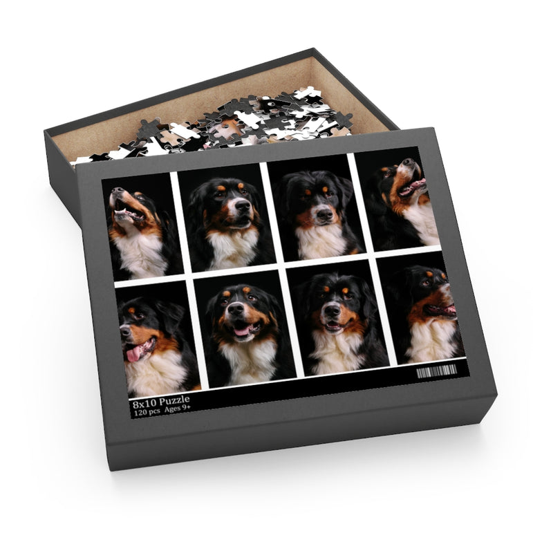 Bernese Mountain Dog Collage - Jigsaw Puzzle