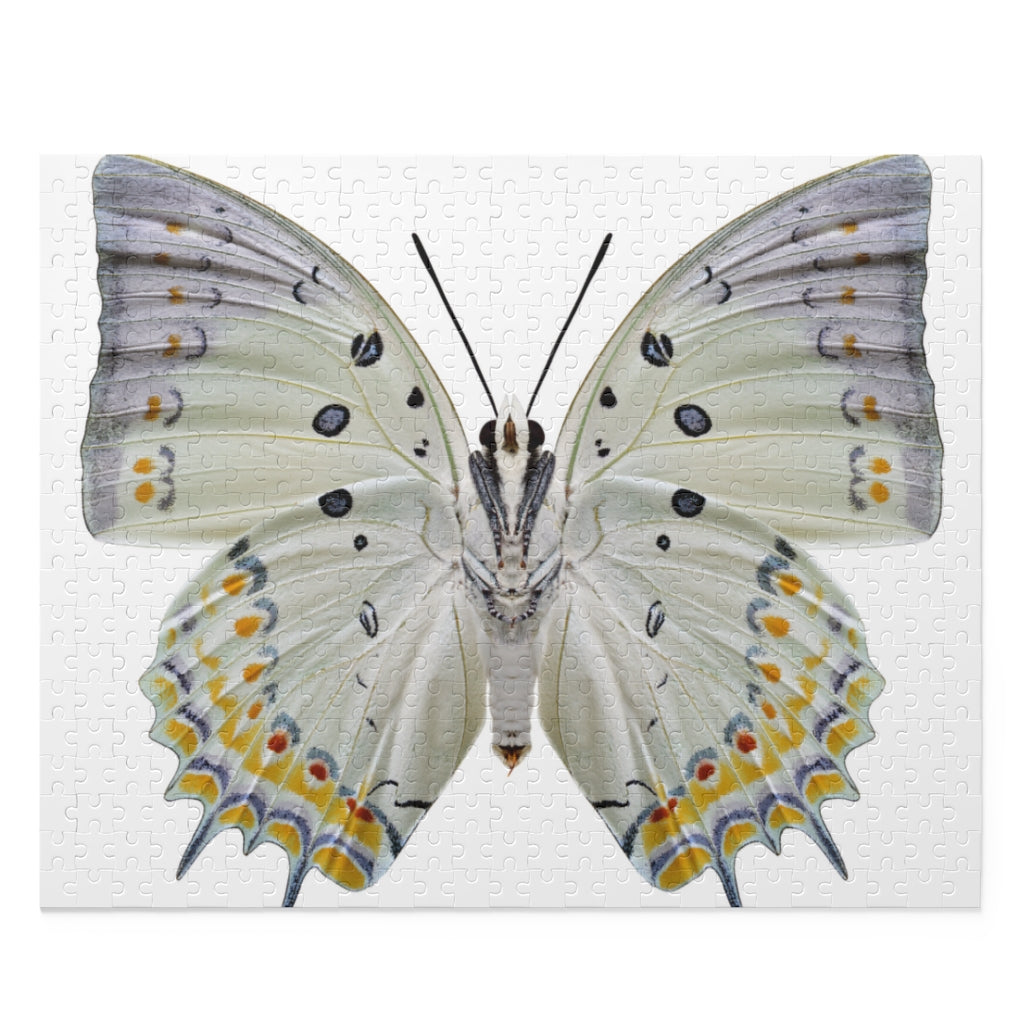 Jewelled Nawab - beautiful butterfly - Jigsaw Puzzle