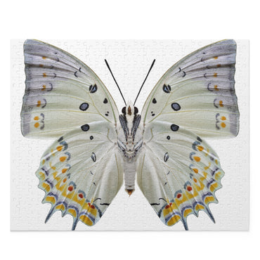 Jewelled Nawab - beautiful butterfly - Jigsaw Puzzle