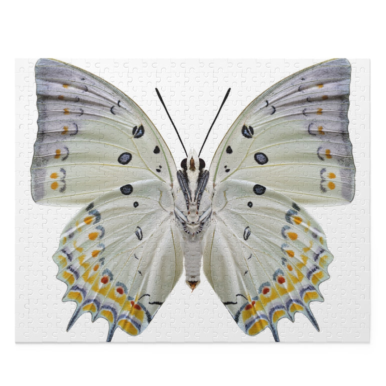 Jewelled Nawab - beautiful butterfly - Jigsaw Puzzle