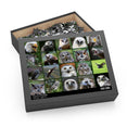 Birds of prey - Collage - Jigsaw Puzzle