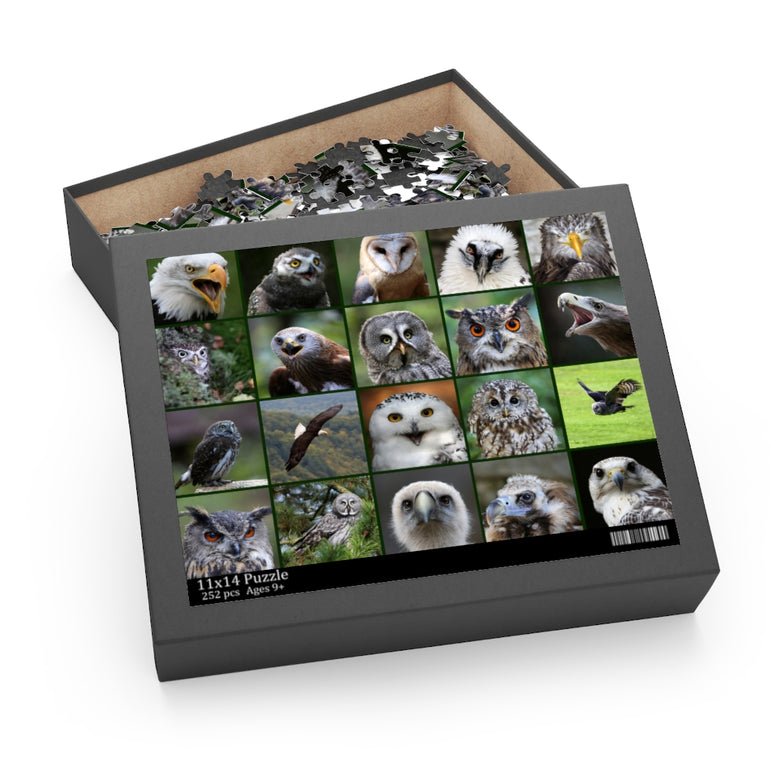 Birds of prey - Collage - Jigsaw Puzzle