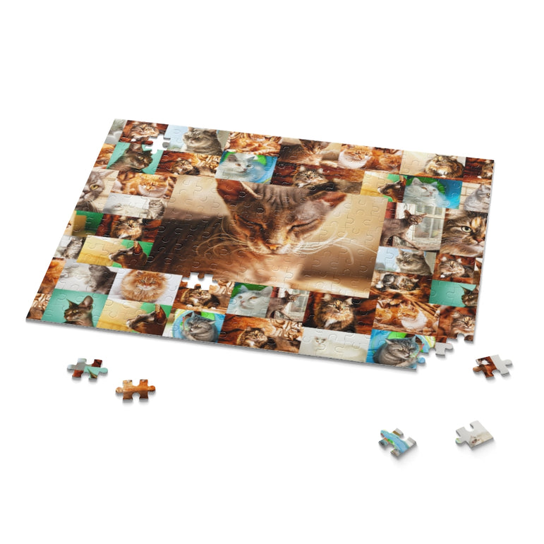 Cats - Collage - Center is Sphynx cat - Jigsaw Puzzle