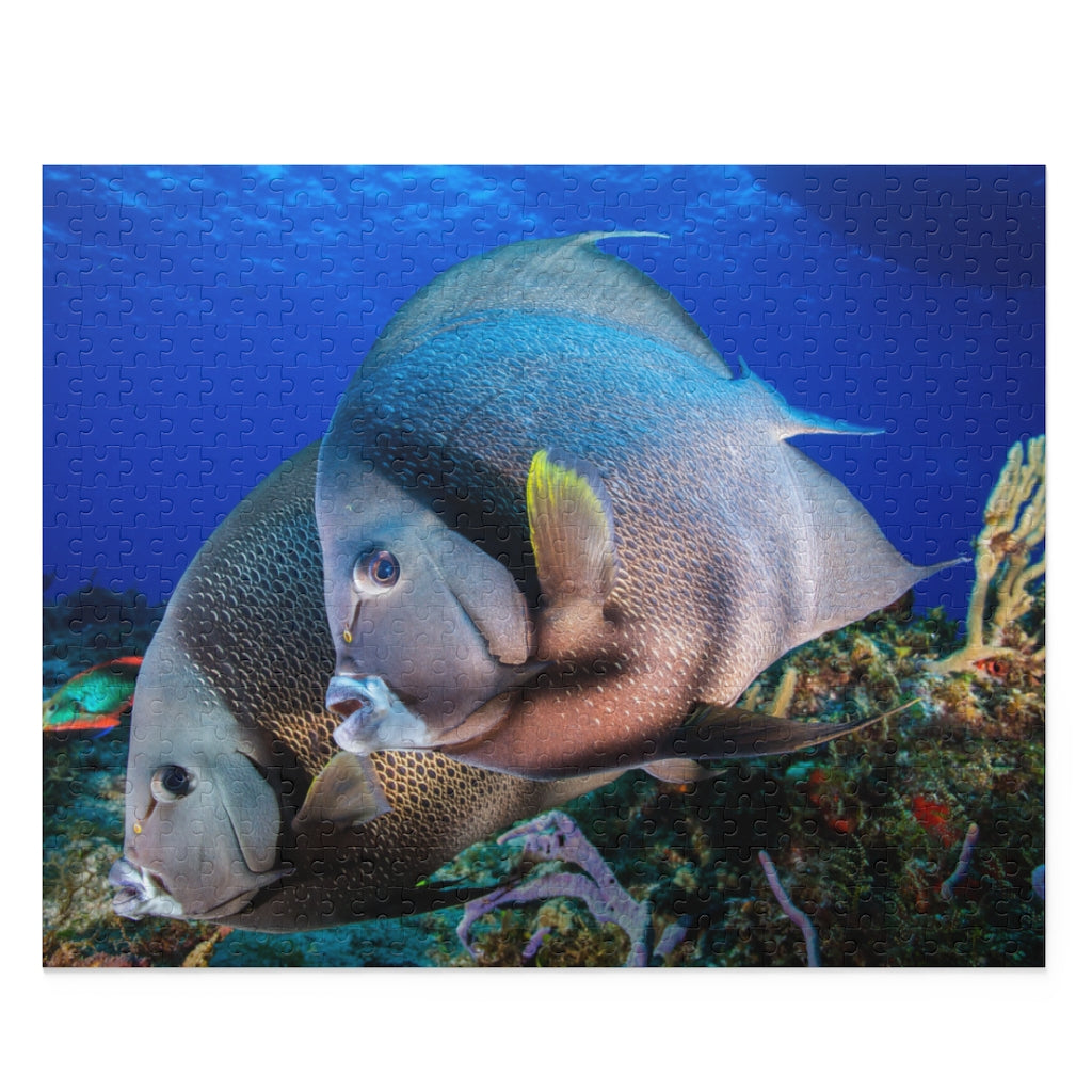 Gray Angel Fish in Cozumel, Mexico - Jigsaw Puzzle