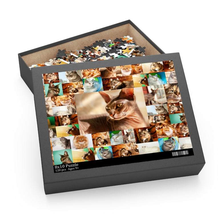 Cats - Collage - Center is Sphynx cat - Jigsaw Puzzle