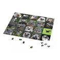 Birds of prey - Collage - Jigsaw Puzzle